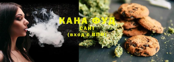 ECSTASY Алзамай