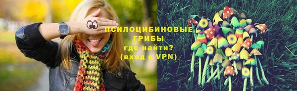 прущие грибы Алексеевка