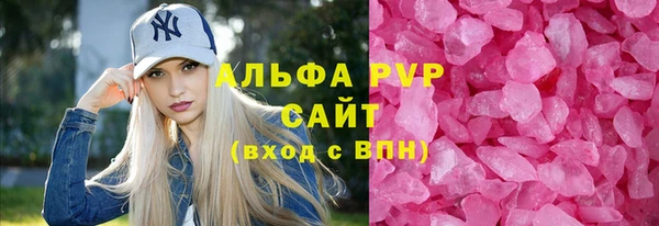 индика Абаза