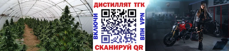 ТГК вейп с тгк Чехов